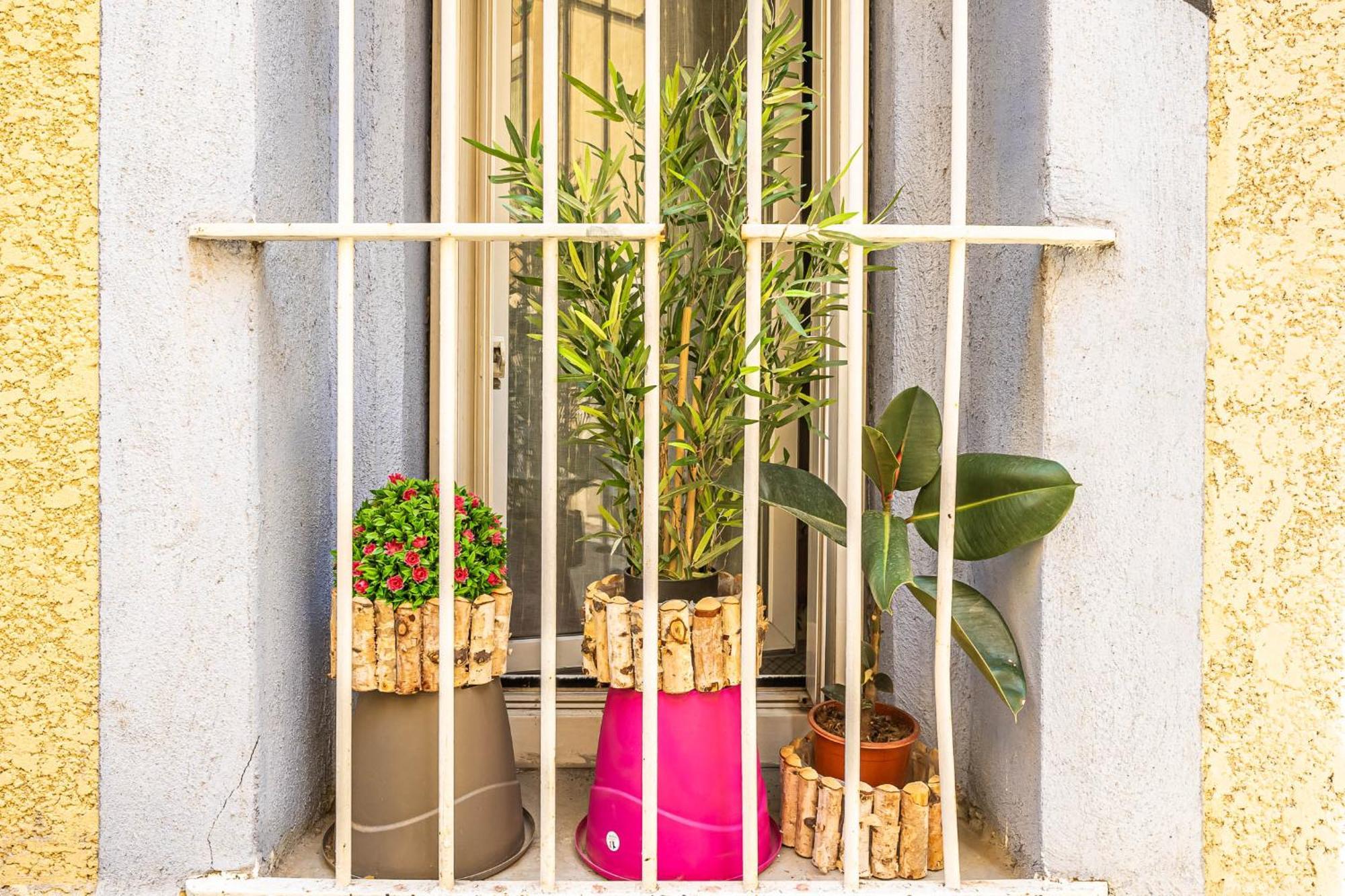 Appartement Le Cocon Urbain Narbonne